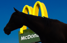 Woman ejected from McDonalds after her horse soils floor