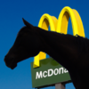 Woman ejected from McDonalds after her horse soils floor
