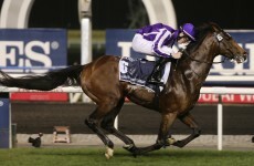 St Nicholas Abbey to have surgery tomorrow on ‘career-ending injury’