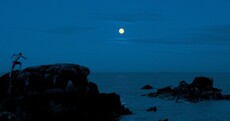 Climbing in the Moonlight Pic of the Day