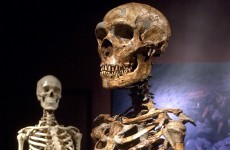 Spanish dig seeks prehistoric ancestors of Europeans