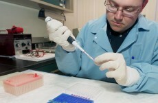 Serious criminals will have DNA logged on database from next year