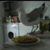 Seagull steals entire dinner... then gets its comeuppance