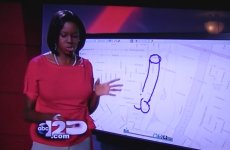 News reporter accidentally draws VERY rude picture