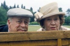 A comprehensive rundown of the most annoying neighbours in existence