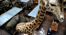 Drumroll, please: And the most popular tourist attractions in Ireland are...