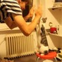 This cat gives cooler high fives than you or anyone you know