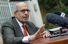 Egyptian opposition leader ElBaradei prepared to contest presidential election