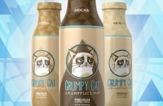 Grumpy Cat to release own brand of coffee drink