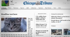 Chicago Tribune's perfect response after they put a kitten on their homepage