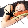 Debunked: Do you really eat a dozen spiders in your sleep every year?