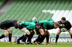 Scrum coach still to come for Ireland 'when we need it' -- Plumtree