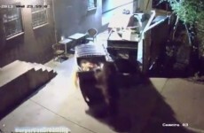 VIDEO: Bear steals whole dumpster full of leftover food
