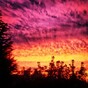 Scientists: This hot weather might make you violent