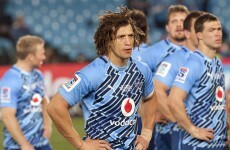 Kirchner and Pienaar included in Springboks squad for Rugby Championship