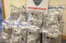 Cannabis worth €1.2million seized at Rosslare Europort