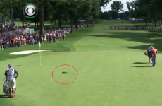 Tiger tames course and wildlife to win 8th Bridgestone title