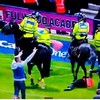 VIDEO: Police horse tramples on steward as pitch invasion mars Preston-Blackpool match