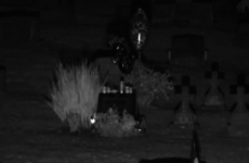 How do you feel about graveside webcams?