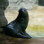 Zookeeper suspended for allegedly punching seal