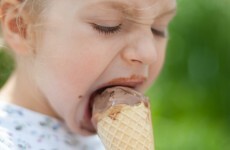 Is ice-cream part of the tourism industry?