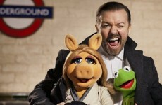 The new Muppet movie looks brilliant!