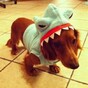 8 individuals who are really excited about our Sharknado live blog