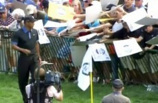 Tiger Woods ran away from a herd of autograph hunters after they nearly crushed a fence