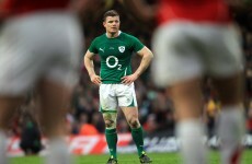 Ireland lose to Wales: in pictures