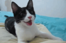 11 small things that absolutely make your day