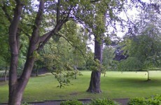 Eight Dublin areas to be protected from noise pollution
