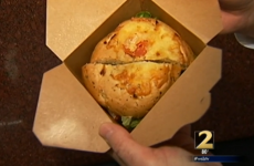 'Moving cheese' on airport sandwich turns out to be maggots