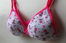 Fox News falls for Islamic ban on padded bras hoax