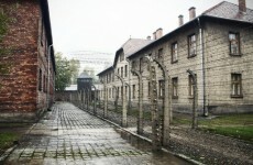 Most-wanted Nazi war crimes suspect dies