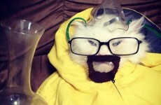 Here's how Breaking Bad took over the internet