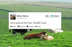 14 ways Irish people have made English their own