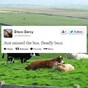 14 ways Irish people have made English their own