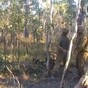 Soldier meets his match in tree tackle fail
