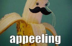 The Guide To Making Terrible Puns