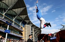 Five Steps to Heaven: Cheltenham Special