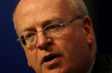 McDowell insists Ireland is not a failed State, says Seanad costs us each €1.60