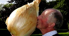 These are some of the silliest Guinness World Records