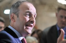 "Legislature should not be excluded from transplant debate" - Micheál Martin