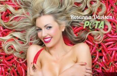 Rosanna Davison goes naked in a bath of chilli peppers