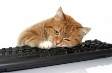 The more you use Facebook, the more miserable you become