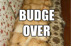 11 signs you grew up in a big family