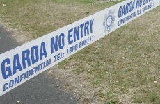 Sawn-off shotgun and ammunition found stashed in Offaly graveyard