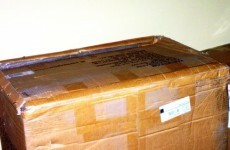 Bomb squad called out to defuse...a sex toy