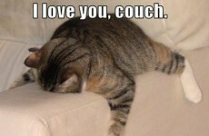 The 23 stages of the weekend everyone goes through