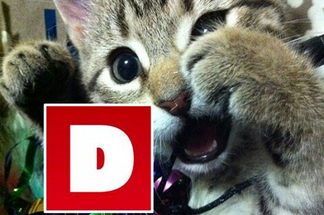 This is how excited we are about hiring.